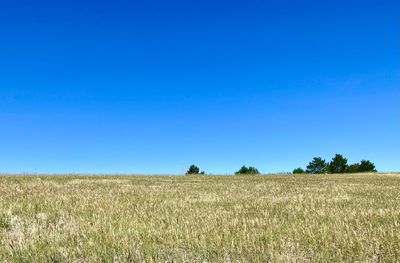 Clear blue sky over colorado prairie landscape