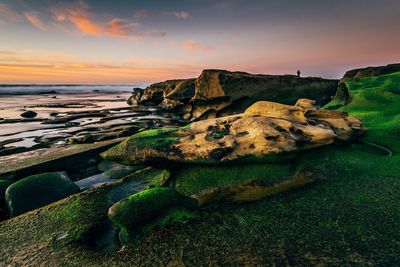 Mossy rocks at beach against sky during sunset