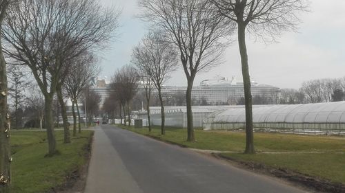 Empty road along trees