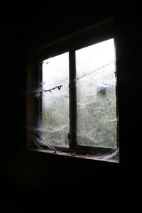 Close-up of window