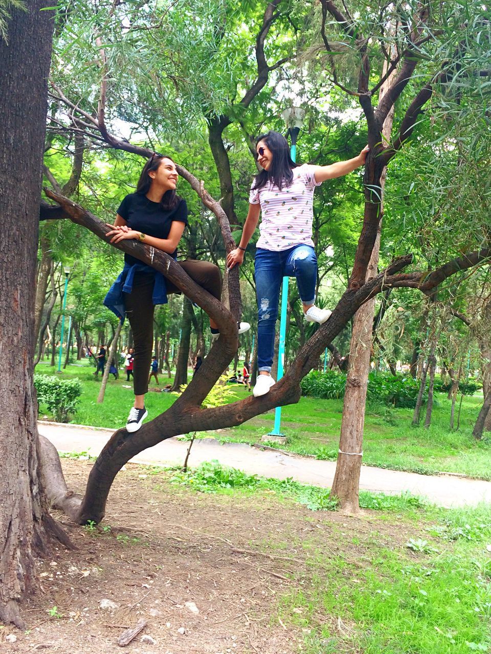 tree, casual clothing, two people, togetherness, full length, young adult, leisure activity, young women, friendship, smiling, day, happiness, growth, real people, lifestyles, outdoors, tree trunk, bonding, standing, cheerful, nature, people, adult, adults only