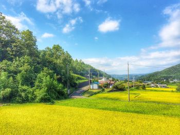 Scenic view of field against sky