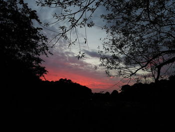 Low angle view of silhouette trees against sky during sunset