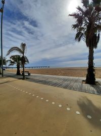 Palm trees on beach against sky