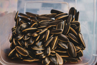 High angle view of beans in container on table