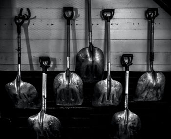 Close-up of food hanging