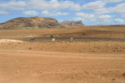 Scenic view of desert against sky