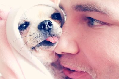 Close-up of man with puppy