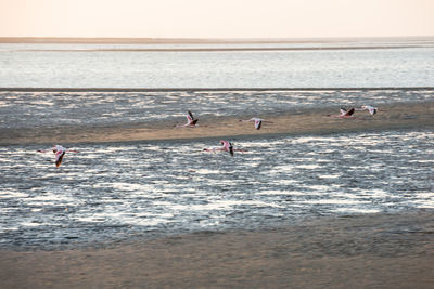 People on beach against sky