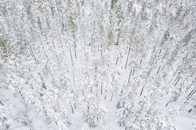 Full frame shot of snow