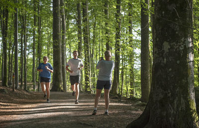 Rear view of people walking in forest