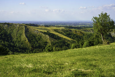 Scenic view of land against sky