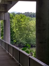 View of bridge in forest