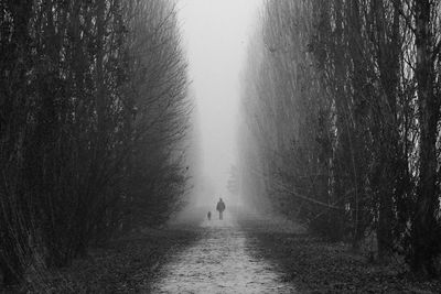 Rear view of man walking on road by trees