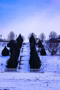 Bare trees on snow covered field against sky