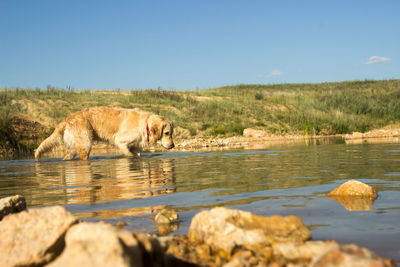 View of a drinking water from lake