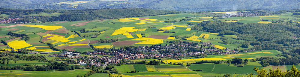 High angle view of agricultural field