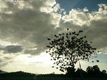 Scenic view of landscape against cloudy sky