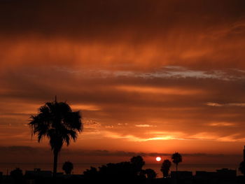 Silhouette palm trees against sky during sunset