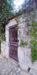 Closed door of old building