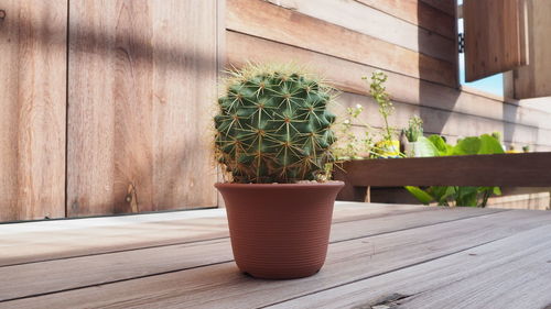 Close-up of potted plants on wooden table