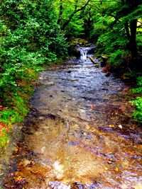 water