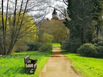 Empty bench in park