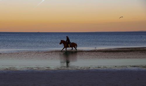 People riding horse at beach during sunset