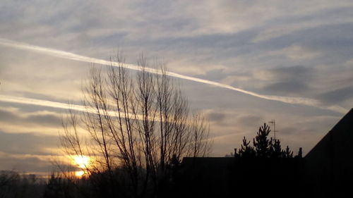 Low angle view of silhouette trees against sky at sunset