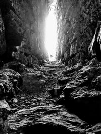 Scenic view of trees against sky