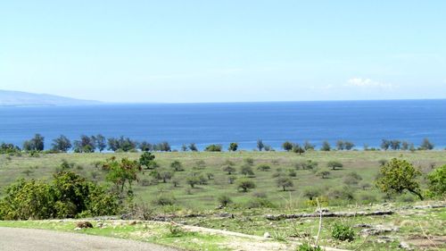 Scenic view of landscape against blue sky