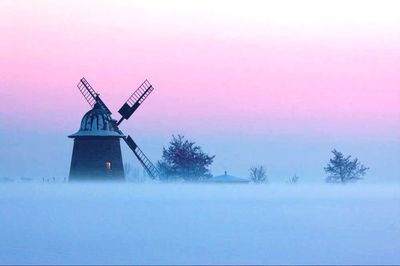 Wind turbines in the field