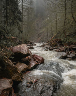 River flowing through rocks in forest