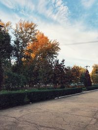 Trees by road against sky during autumn