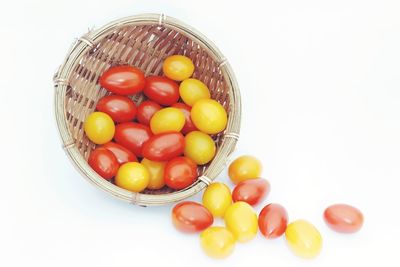 High angle view of tomatoes on white background