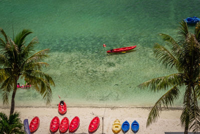 Scenic view of palm trees on beach