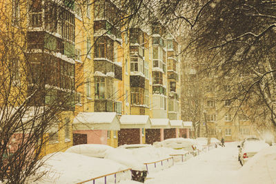 Snow covered trees by buildings in city