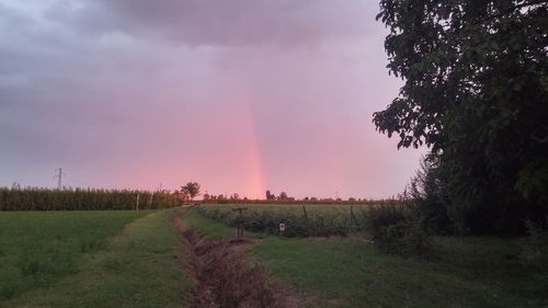 Scenic view of field against sky