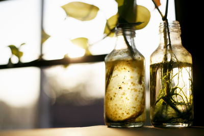 Close-up of glass of jar on table