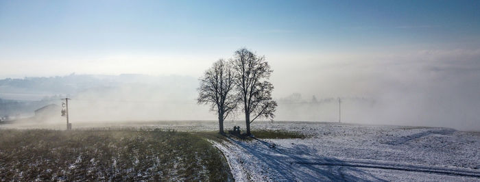 Bare tree on field against sky during winter