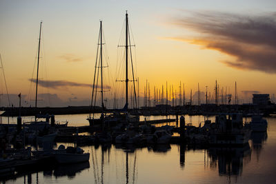 Sailboats in harbor at sunset