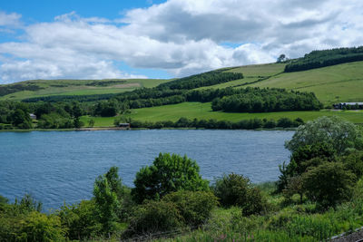 Scenic view of trees by lake against sky