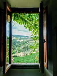 Plants seen through window of house