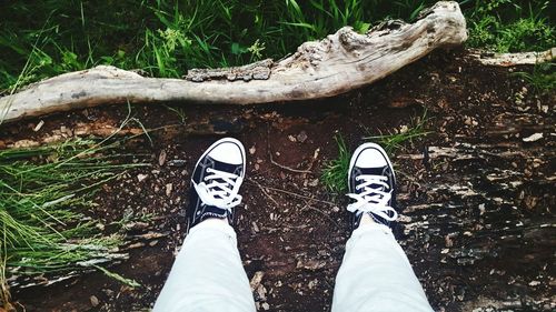 Low section of man standing by plants