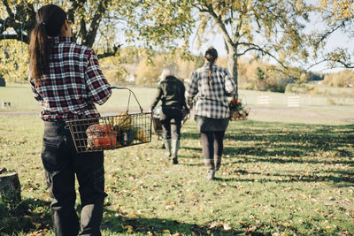 Rear view of female farmer carrying vegetables in basket at field