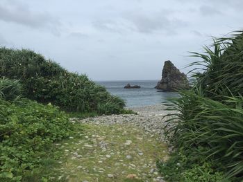 Scenic view of sea against sky