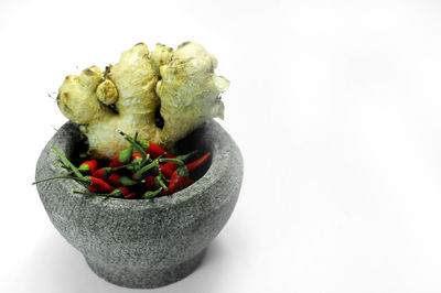 High angle view of vegetables against white background