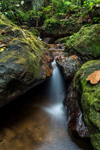 Stream flowing through rocks in forest