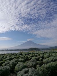 Scenic view of mountains against cloudy sky