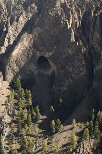 Rock formations in forest